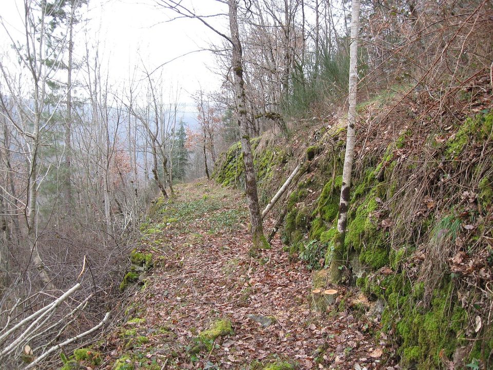 Jouqueviel-le-Tel