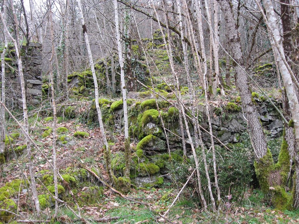 Ruines