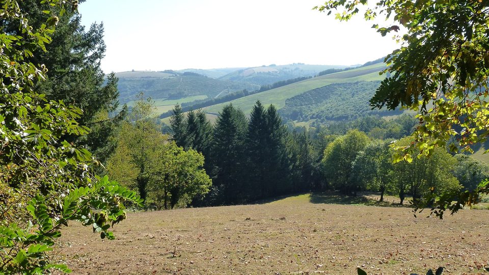Paysage haut Dadou