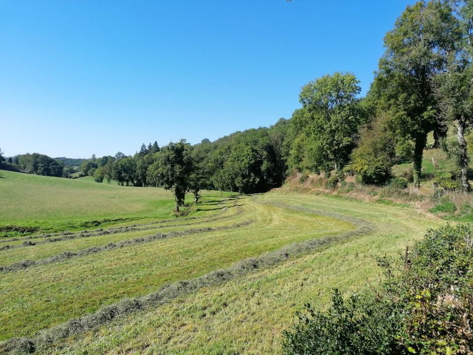 Saint-Salvi-de-Carcavès