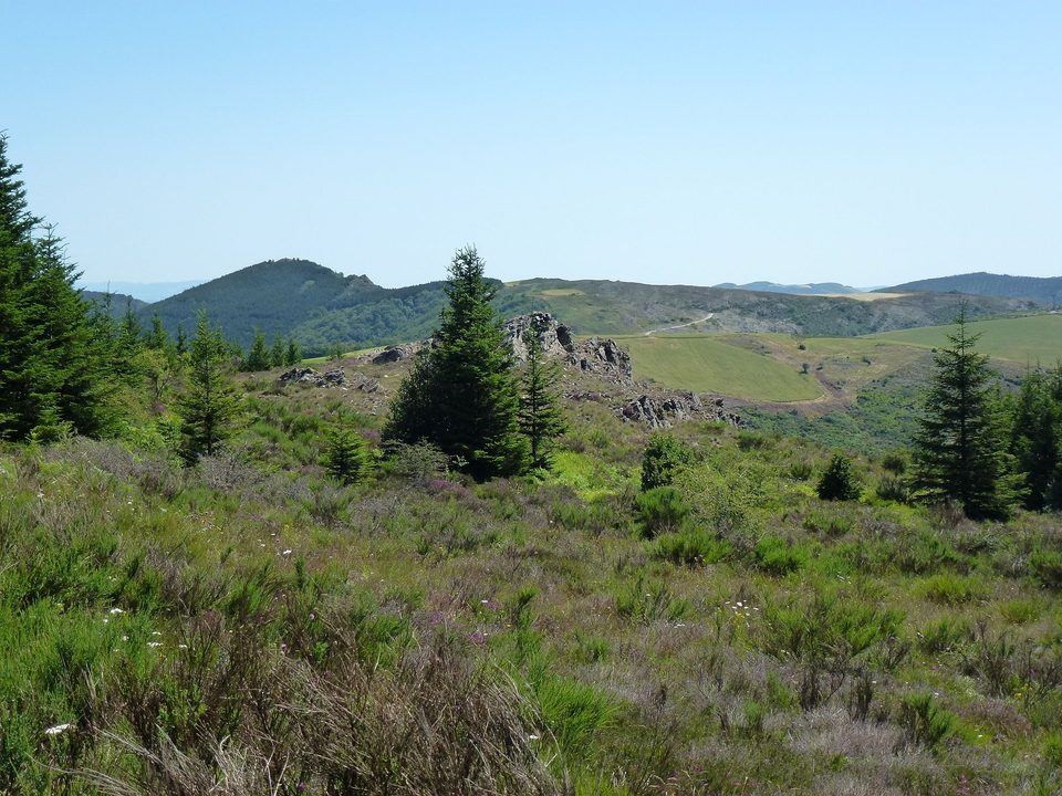 Paysage Mont de Lacaune