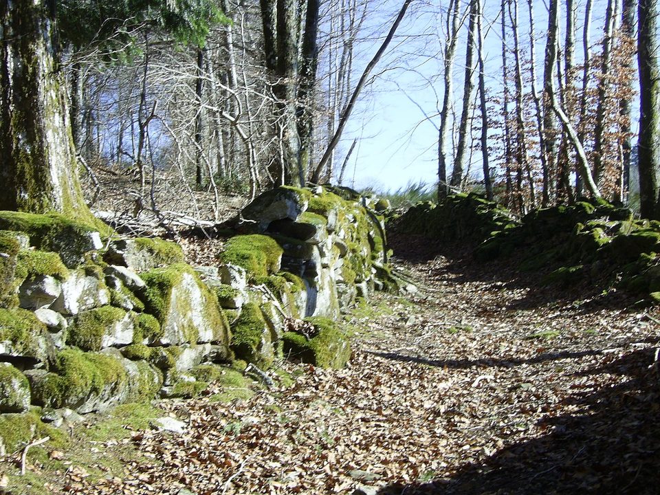 La balade Monteliote