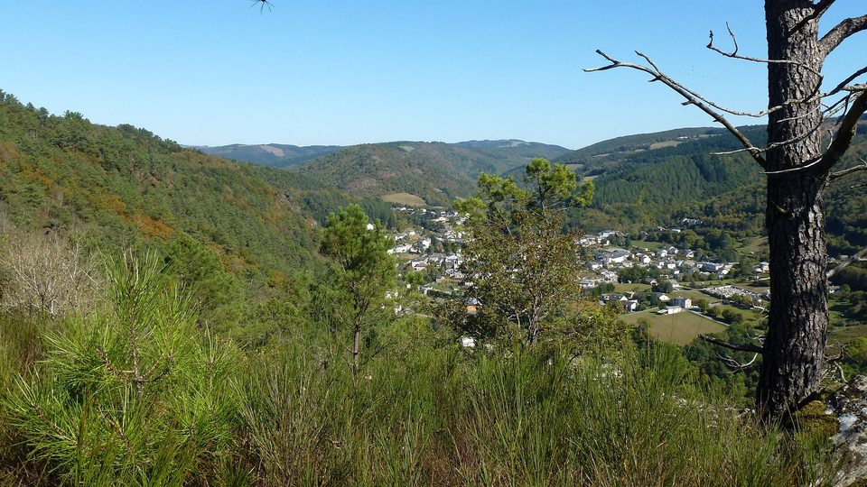 Panorama sur Vabre