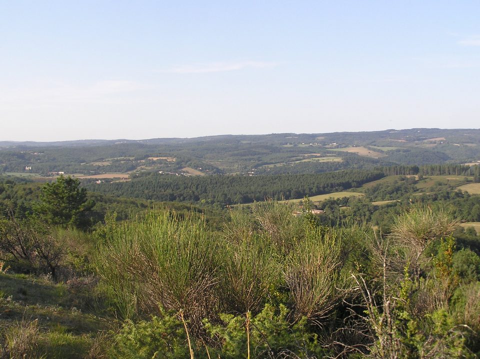 Paysage autour de Boissezon