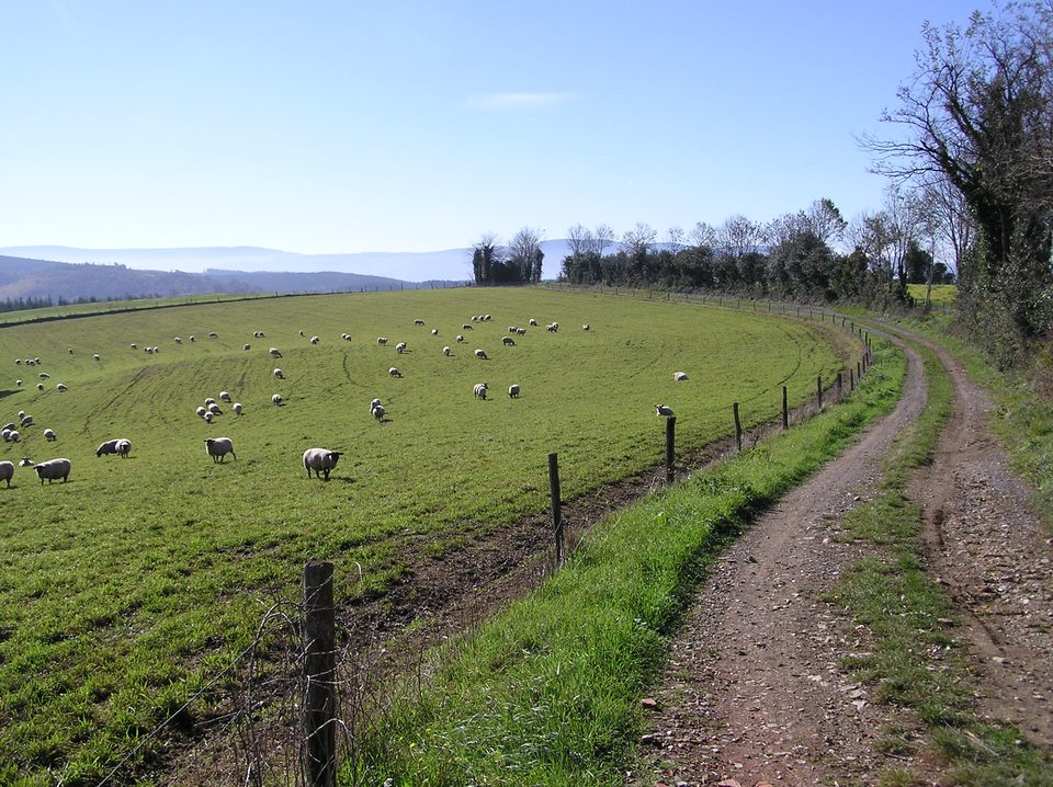 Le plateau d'Anglès