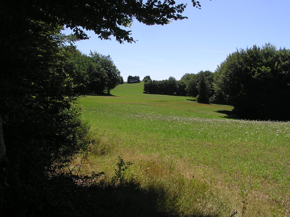 Paysage