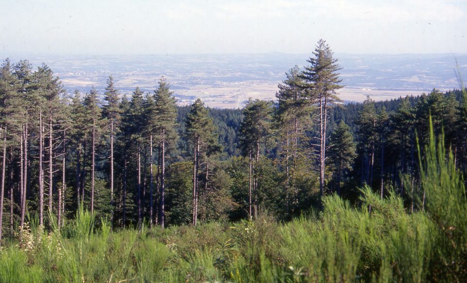 Le Carbonéral