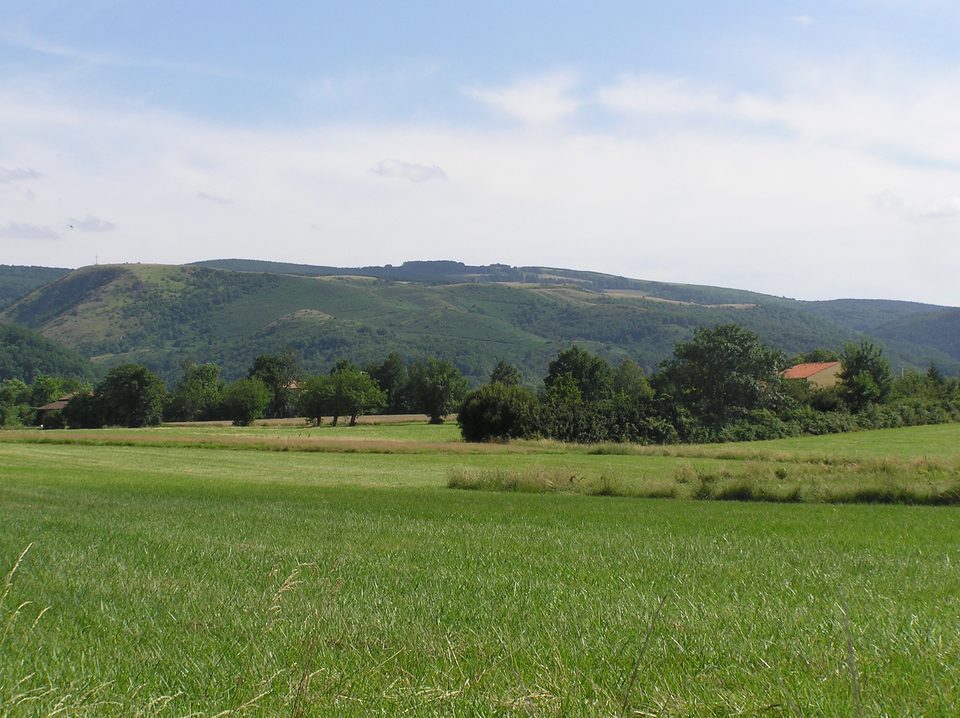 Paysage