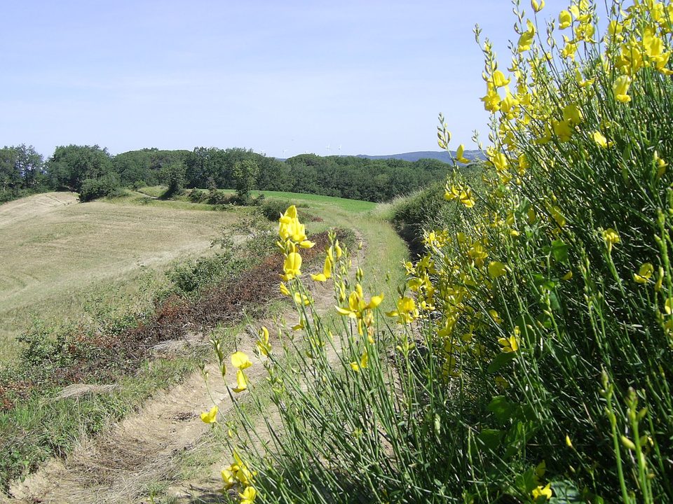 Paysage
