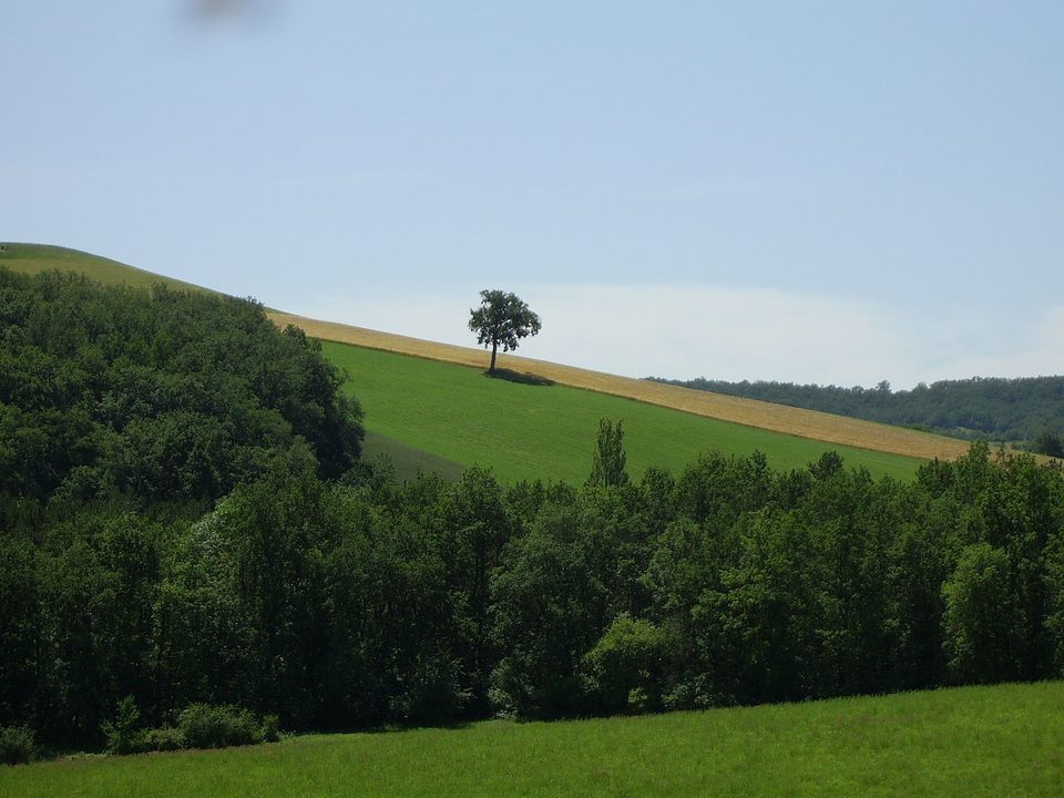 Paysage