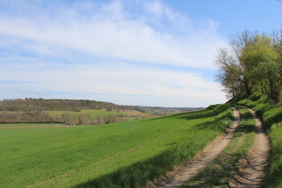 Collines de Carlus