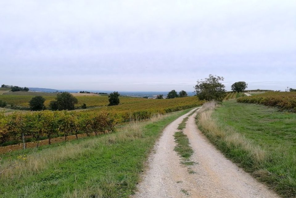 Le lac des Auzerals