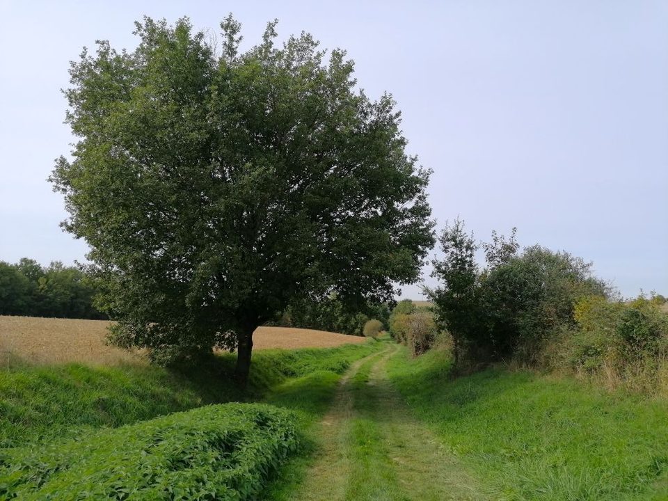 En chemin
