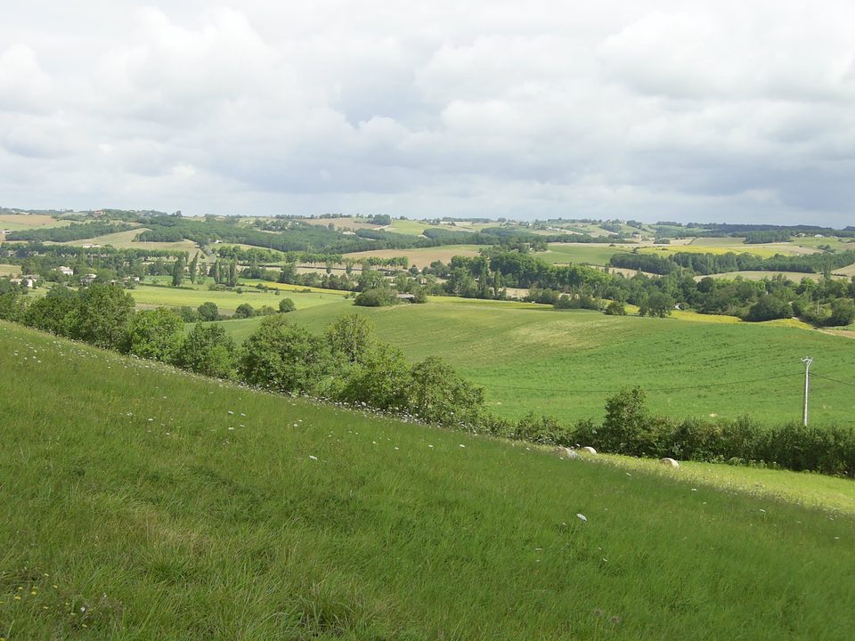 Panorama