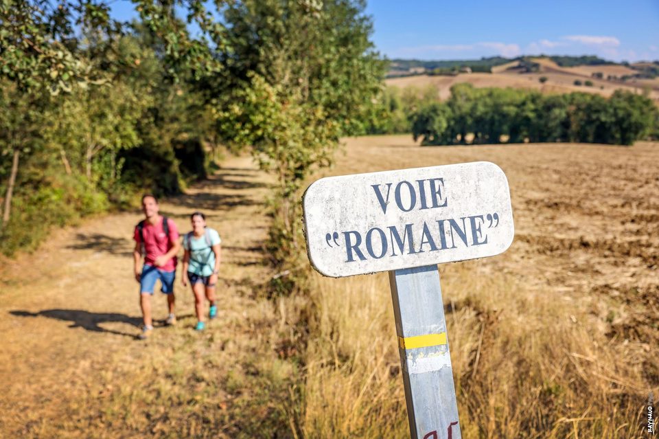 Sur le chemin