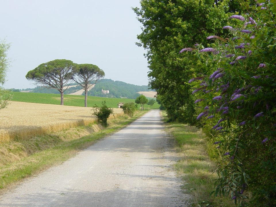Voie verte "chemin des droits de l'homme"