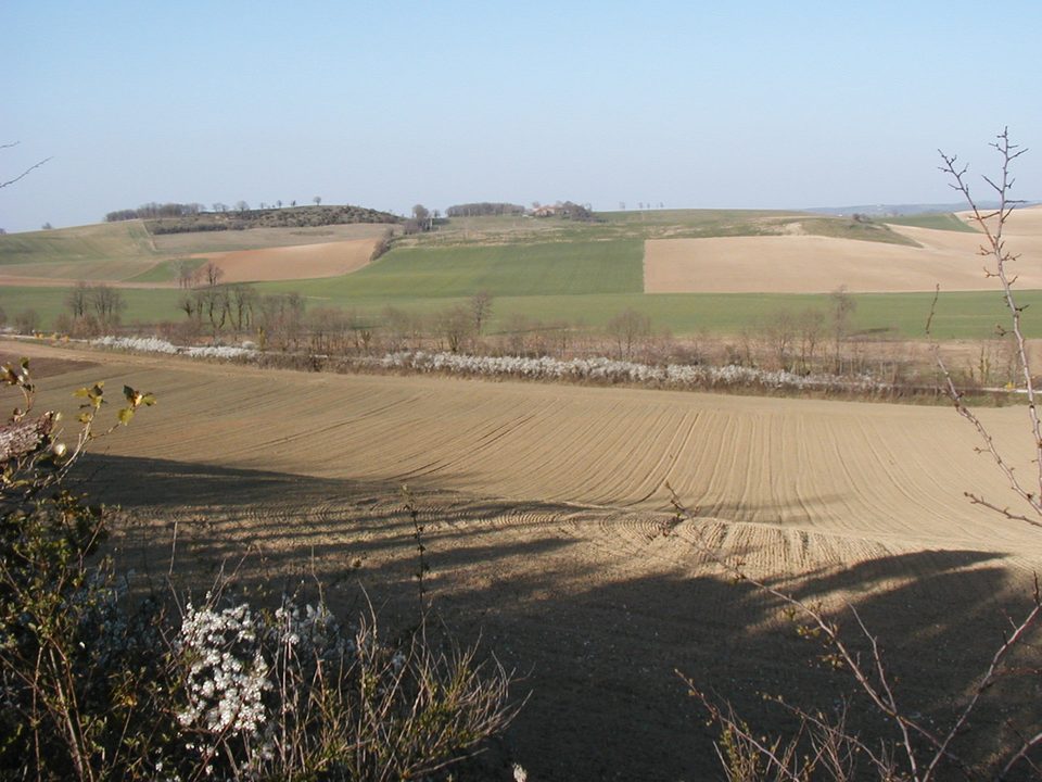 Chemin des droits de l'homme