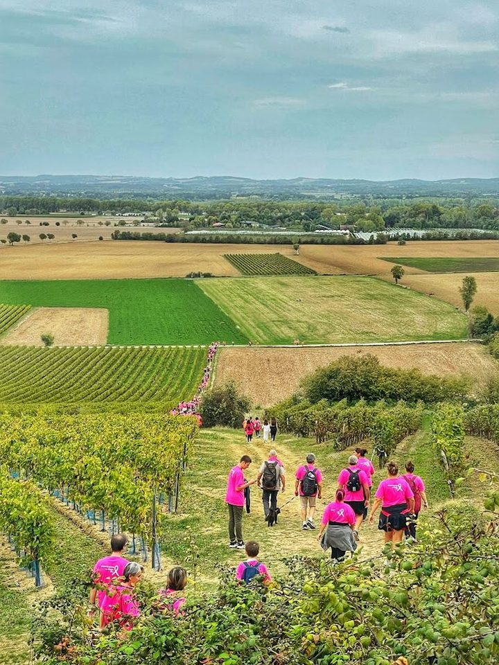 Vue sur la vallée du Tarn - Rando Octobre rose