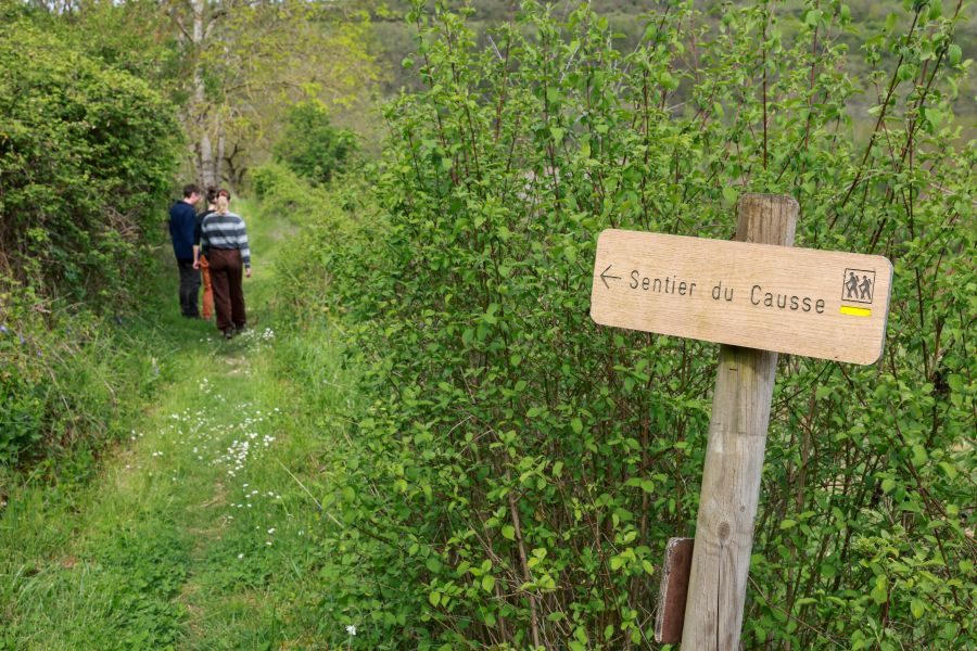 En parcourant le sentier du causse