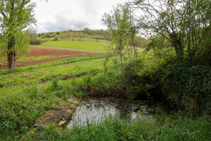 En parcourant le sentier du causse