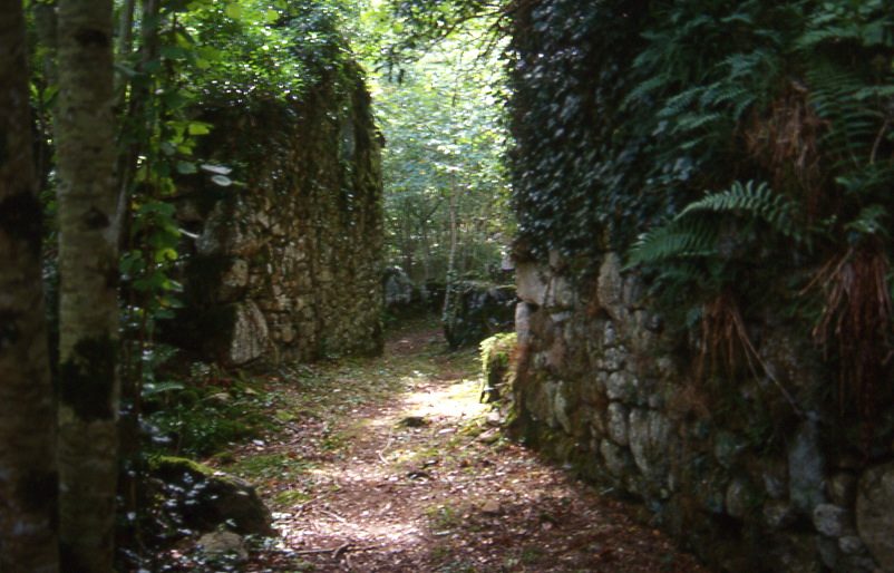 Sicardens