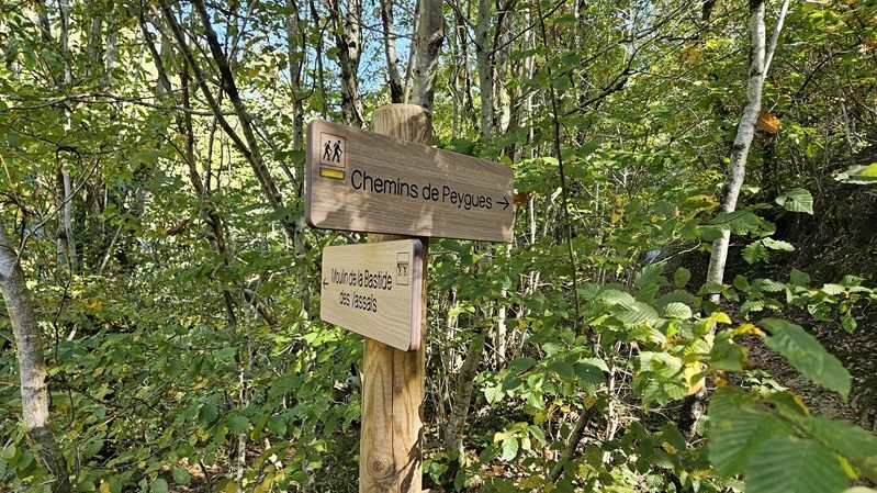 Le long du ruisseau de Lézert