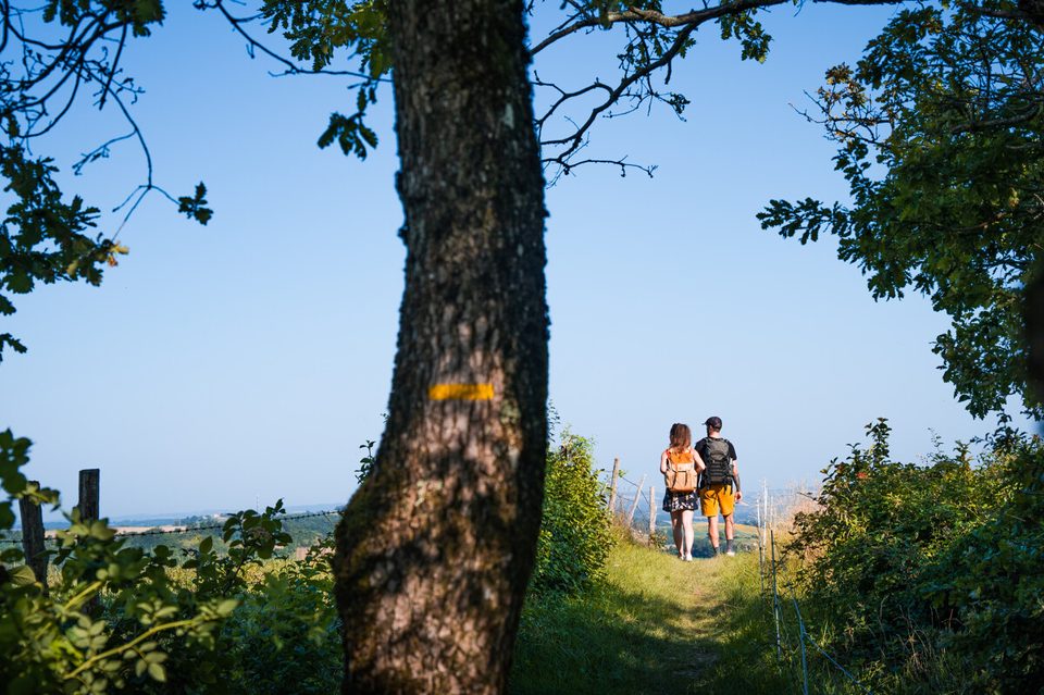 Campagne-Entre2poles-32155-1200px