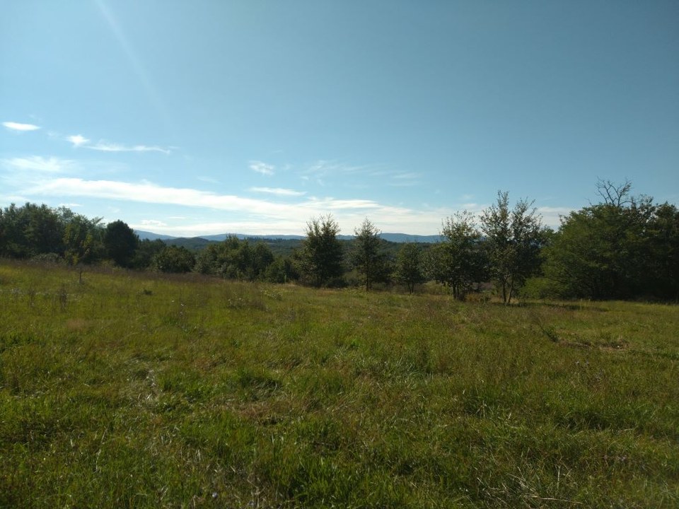 vue le chemin de la Parulle