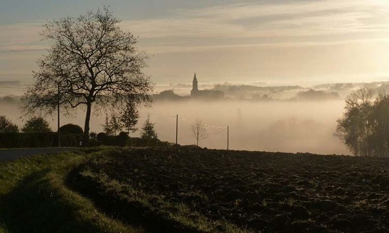 Clocher de Cadalen dans la brume