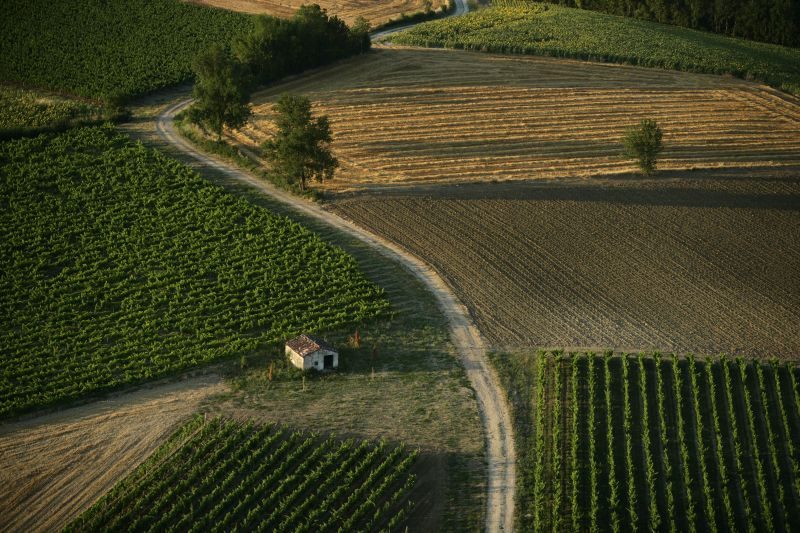 Vignoble et châteaux