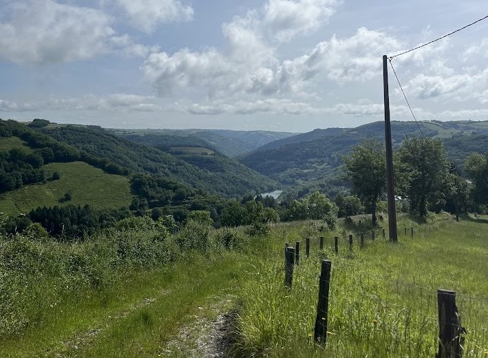Vue sur la vallée du Tarn