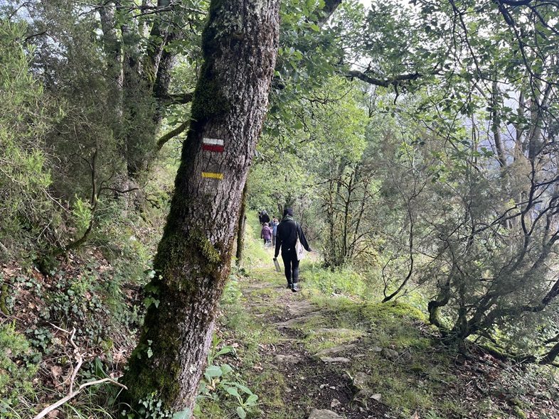 Sentier à travers les bois