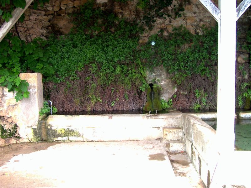 lavoir avec capillaire
