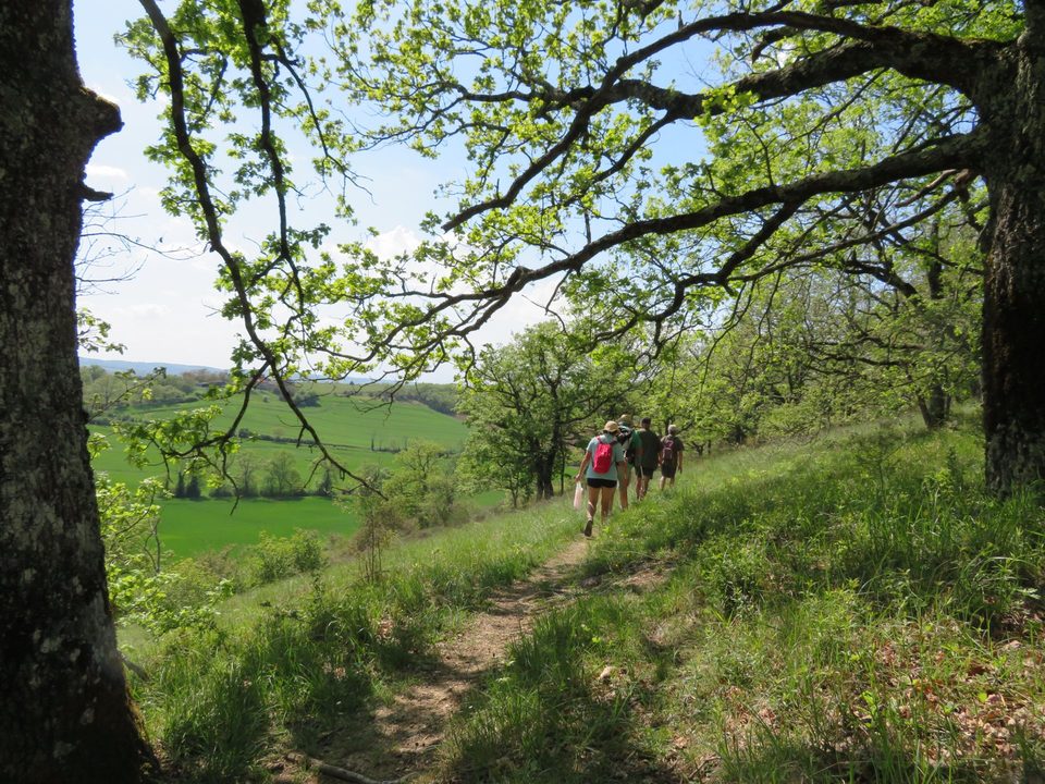 Sentier des coteaux