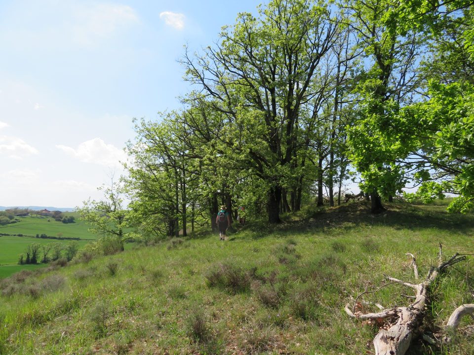 Sentier des coteaux