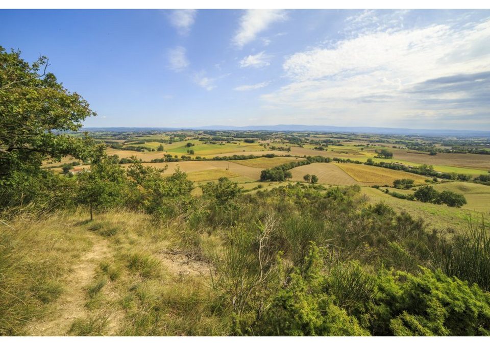 Sur les hauteurs de Lautrec