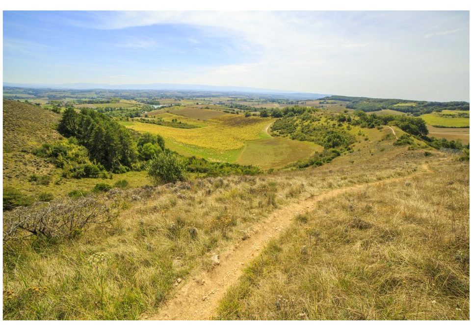 Sur les hauteurs de Lautrec