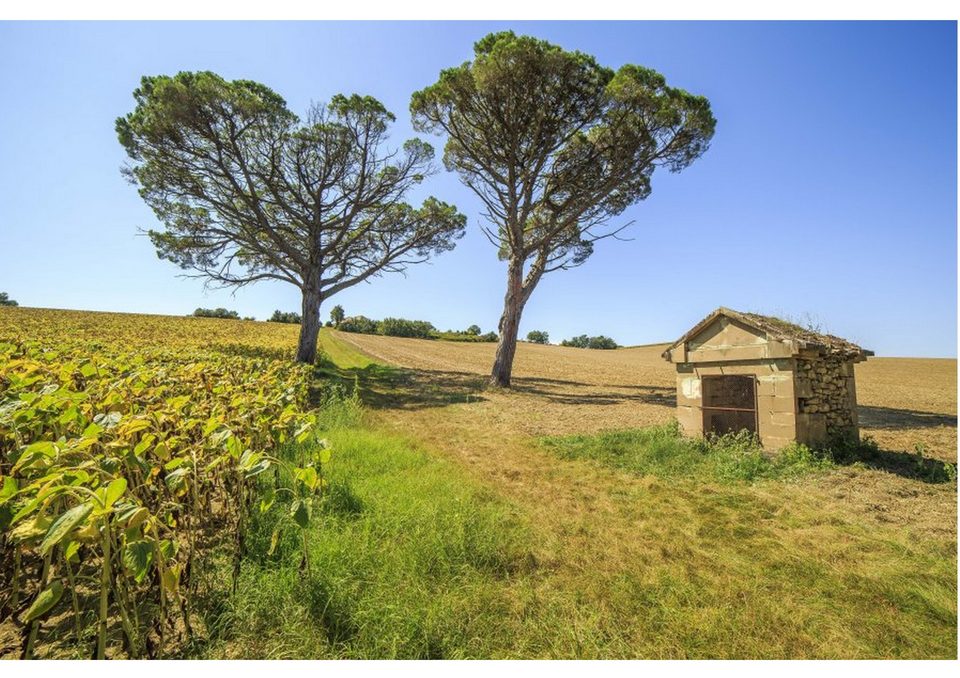 Le Tumulus