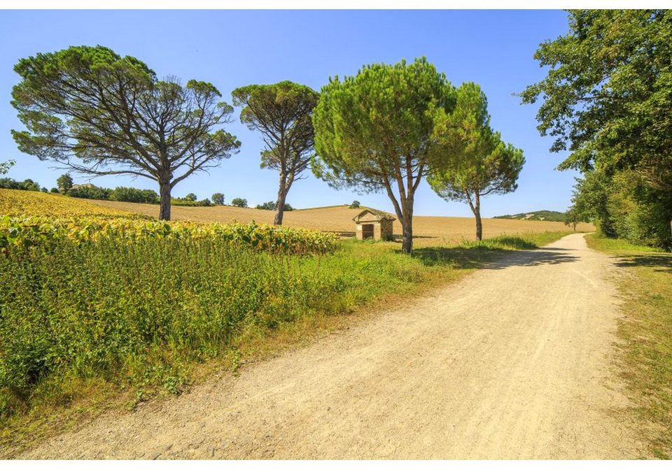 Le Tumulus
