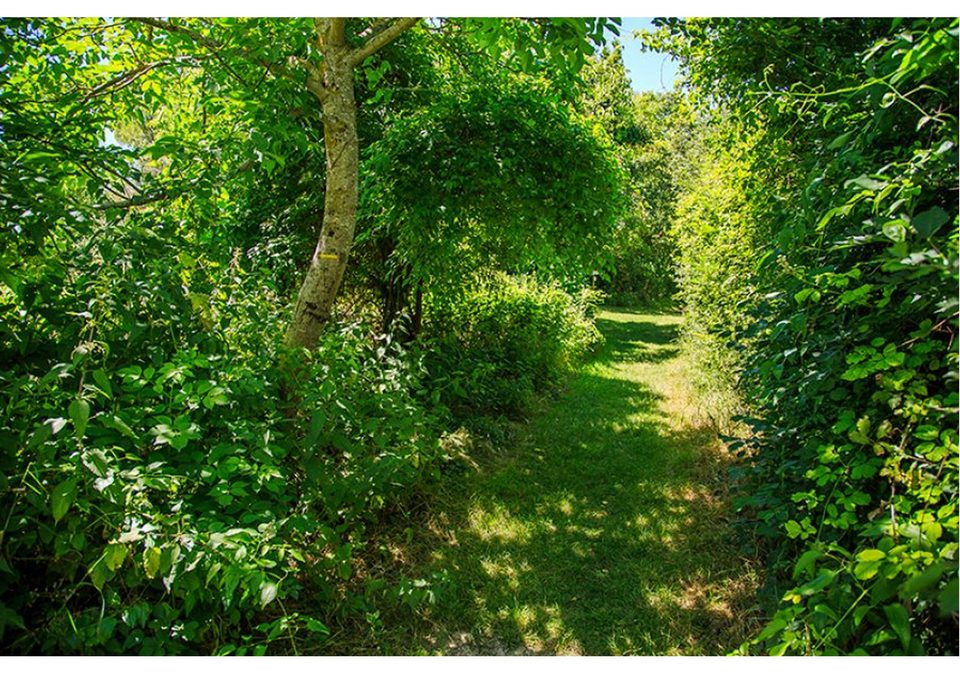 Le chemin du Pastel