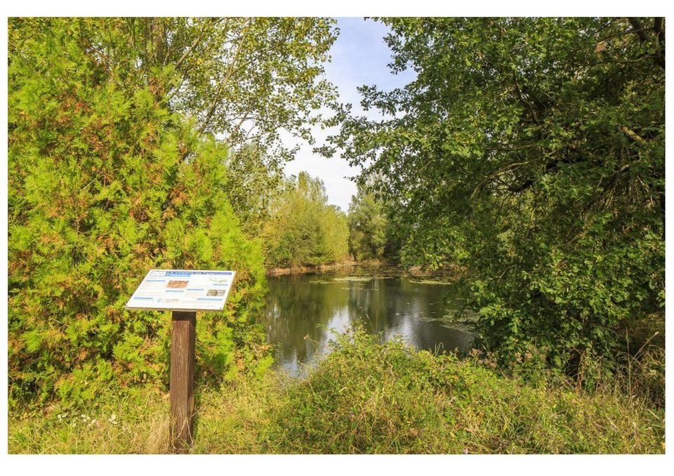 Le chemin de l'eau