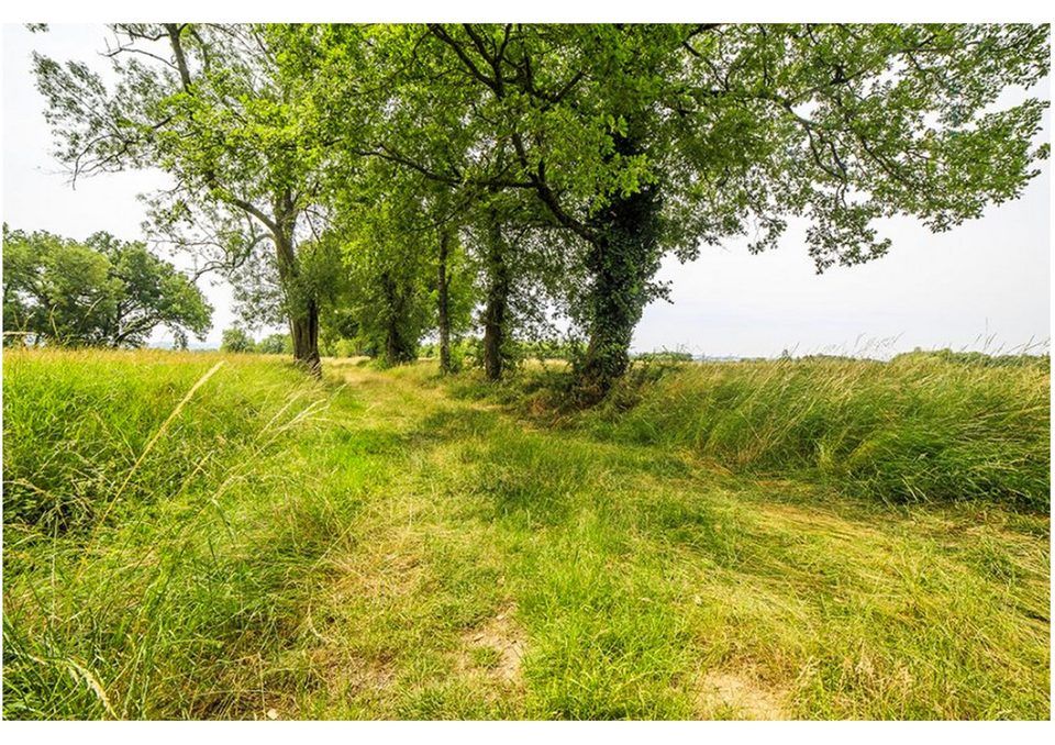 Le circuit des plateaux Damiatte