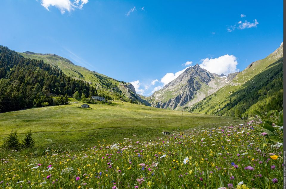 Vallon de l'Orgère : rando facile en famille !