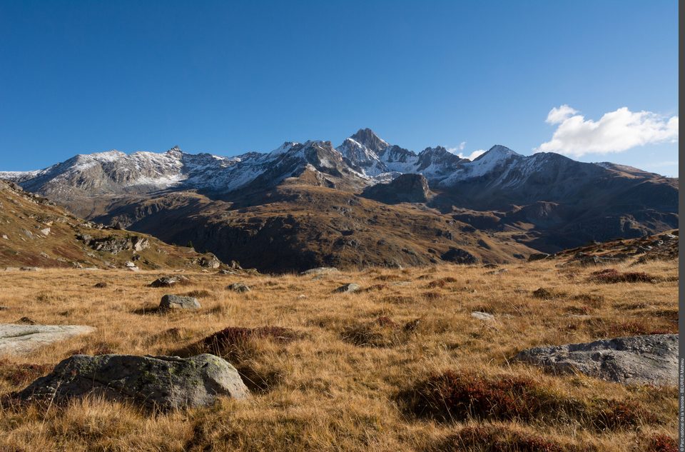 Plateau du Mauvais Berger : le terrain de jeu des marmottes et des bouquetins des Alpes