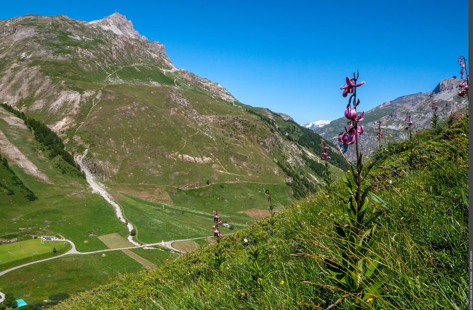 Le col des Fours depuis le Manchet : un itinéraire alpin et sauvage