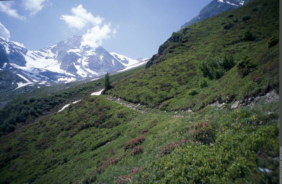 Du refuge de La Martin au refuge de Turia