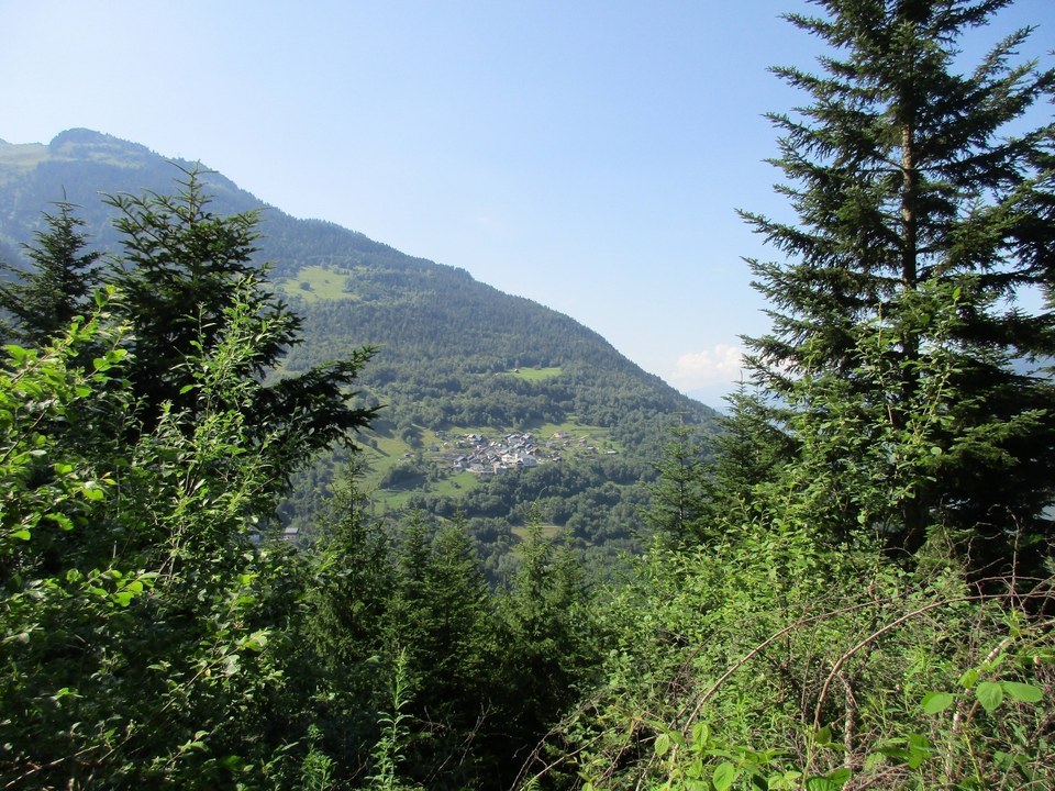 La Grande Forêt (B22)