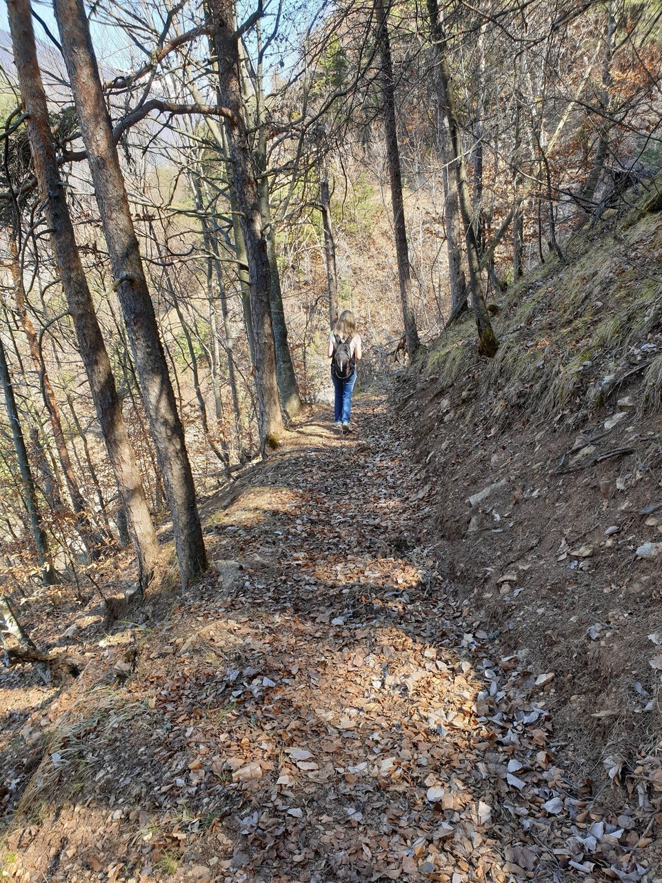Sentier Moûtiers - Montfort