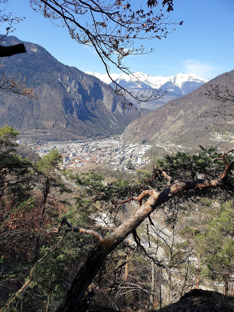 Sentier Moûtiers - Montfort 2