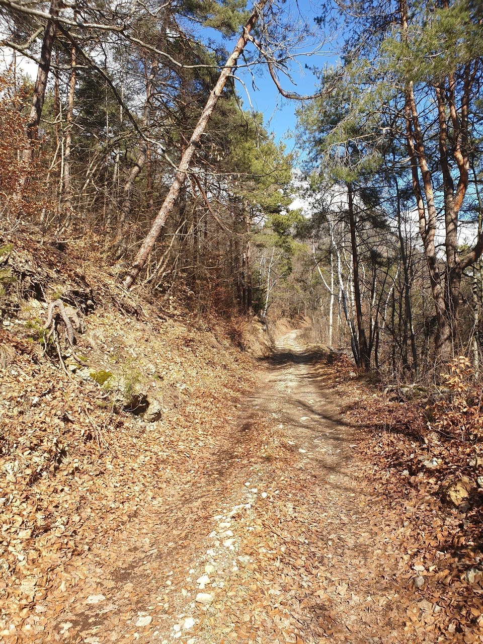 Sentier de la Pérouse